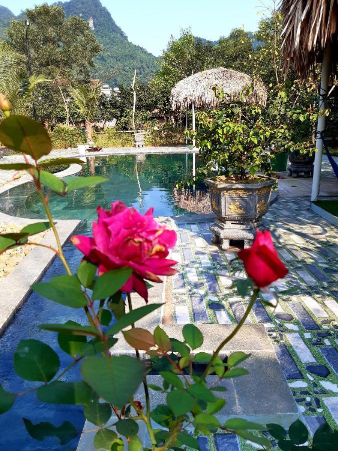 Phong Nha Bolero Bungalow Bagian luar foto