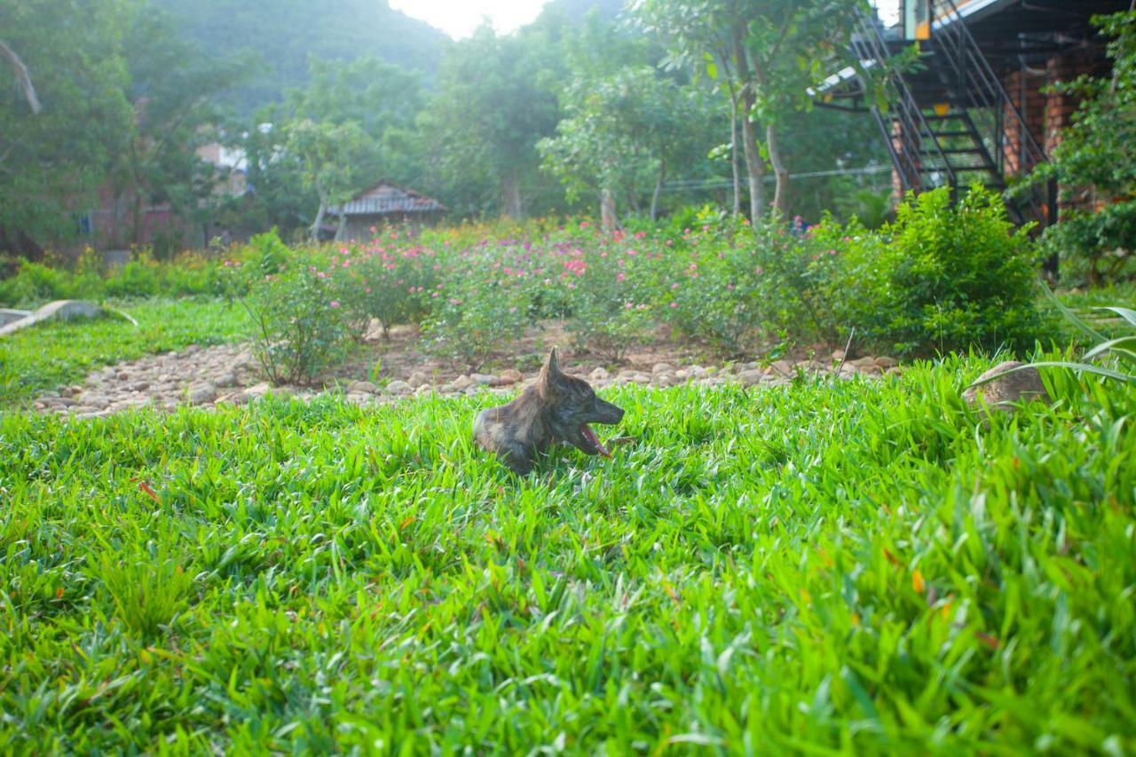 Phong Nha Bolero Bungalow Ruang foto