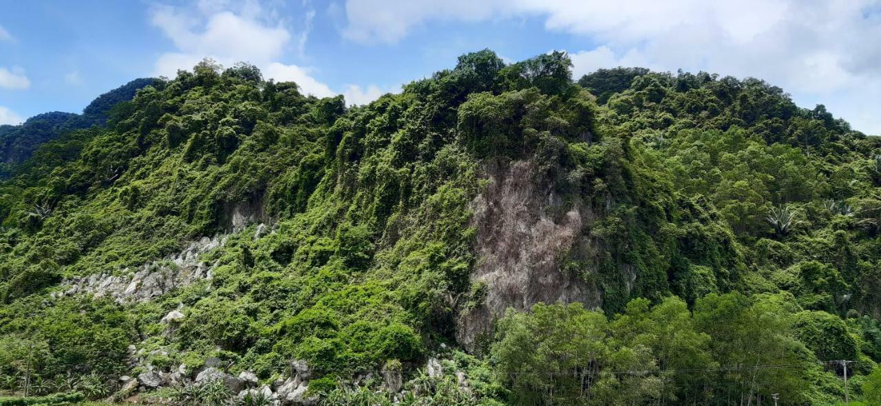 Phong Nha Bolero Bungalow Bagian luar foto
